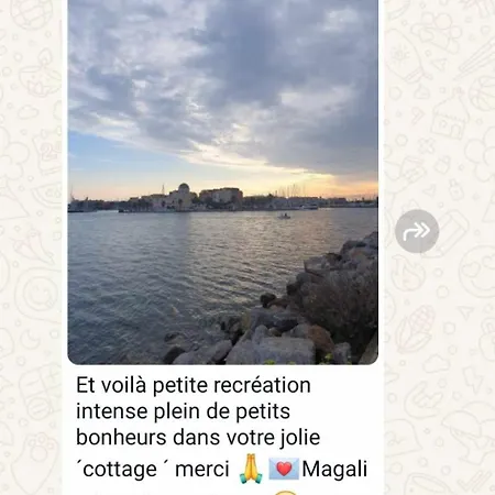 Rdc Vue - *